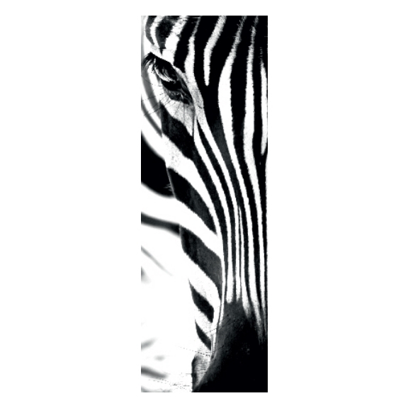 ISAN Variant Photo P01