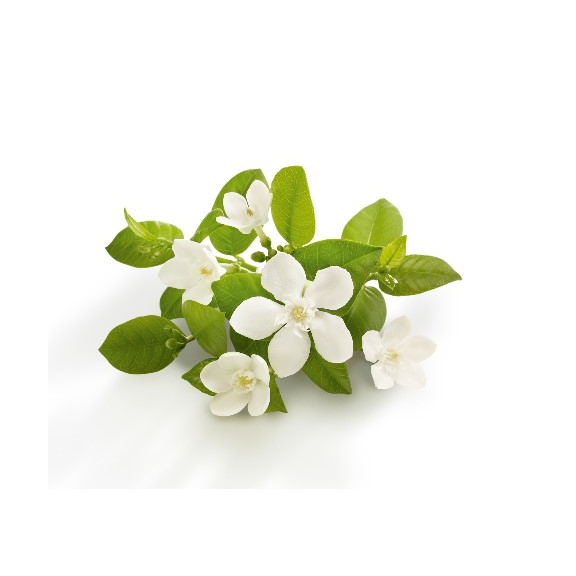 Neroli éterický olej